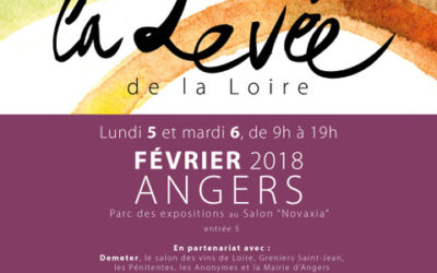 Salon de vins natures à Angers