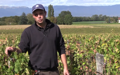 Découvrez le Domaine Château L’Évêque en vidéo