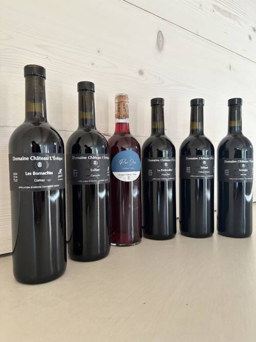Carton découverte 6 bouteilles cuvées rouges 75cl
