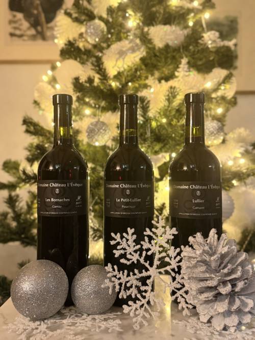 Carton découverte 6 bouteilles cuvées rouges 75cl